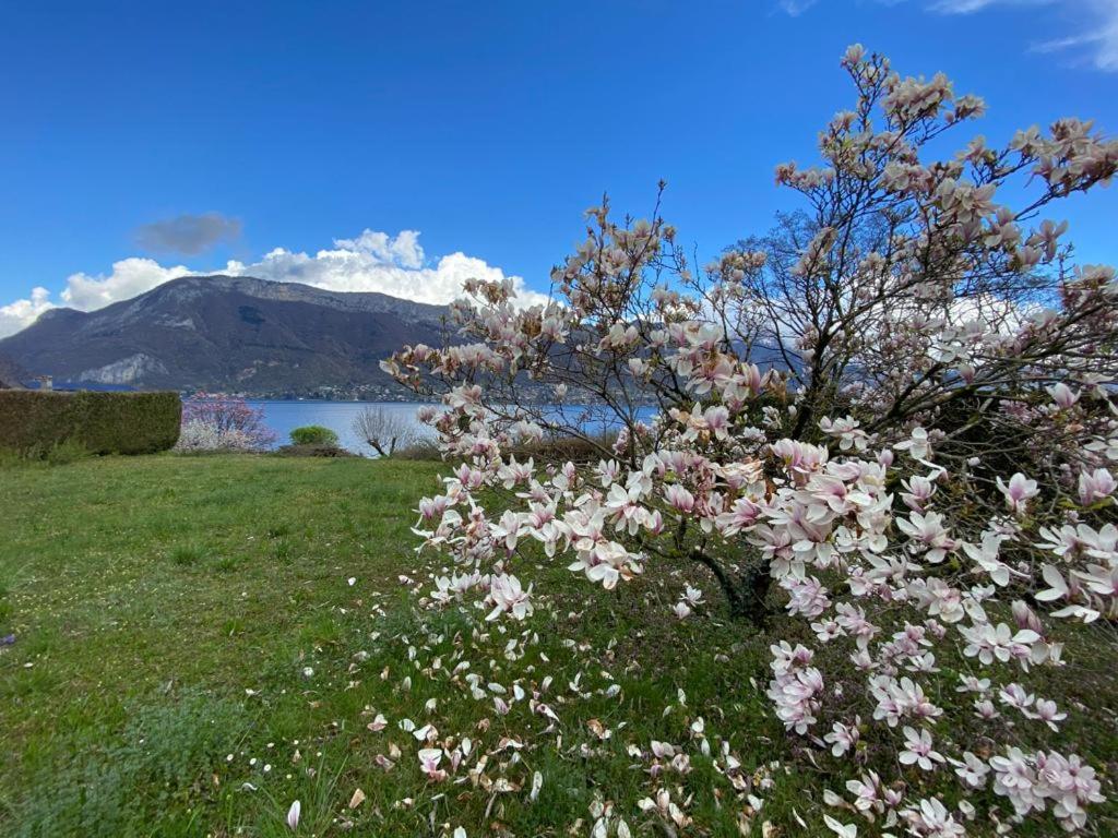 La Roseliere Sud, Vue Lac & Jardin Sévrier Εξωτερικό φωτογραφία